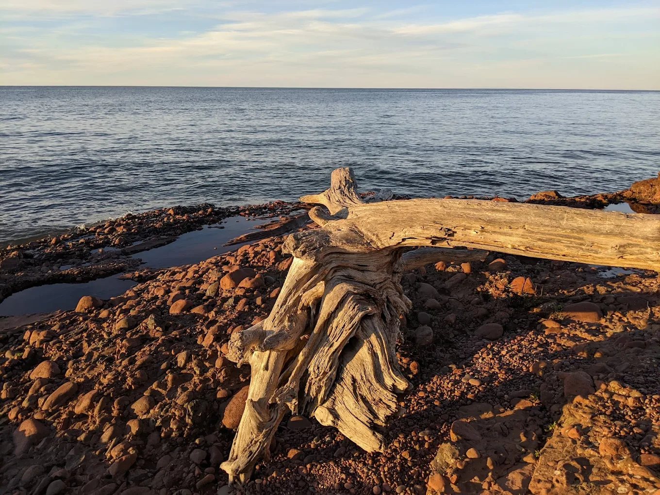 Driftwood and red rock along the Lake Superior shore at golden hour